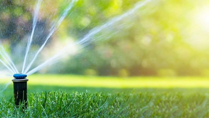 Watering Practices