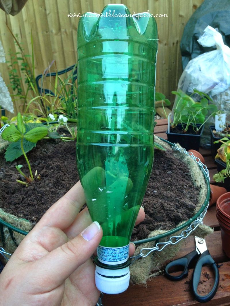Watering Techniques