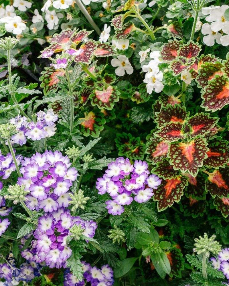 Seasonal Planting