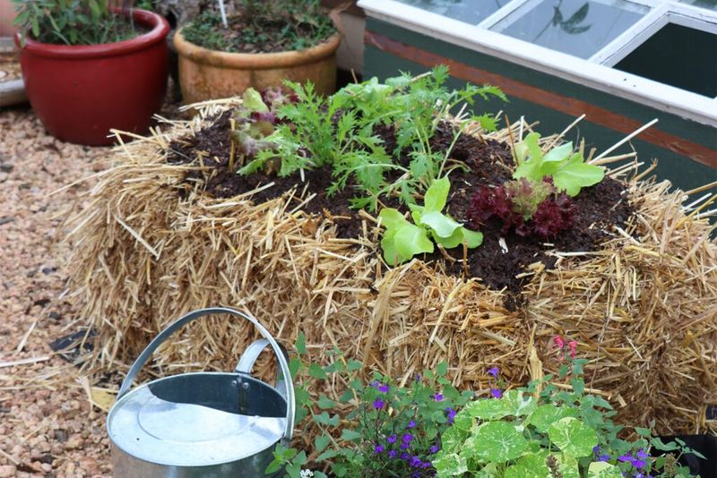 Watering Techniques