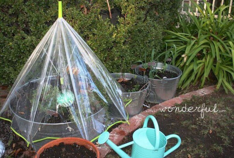 Watering Techniques