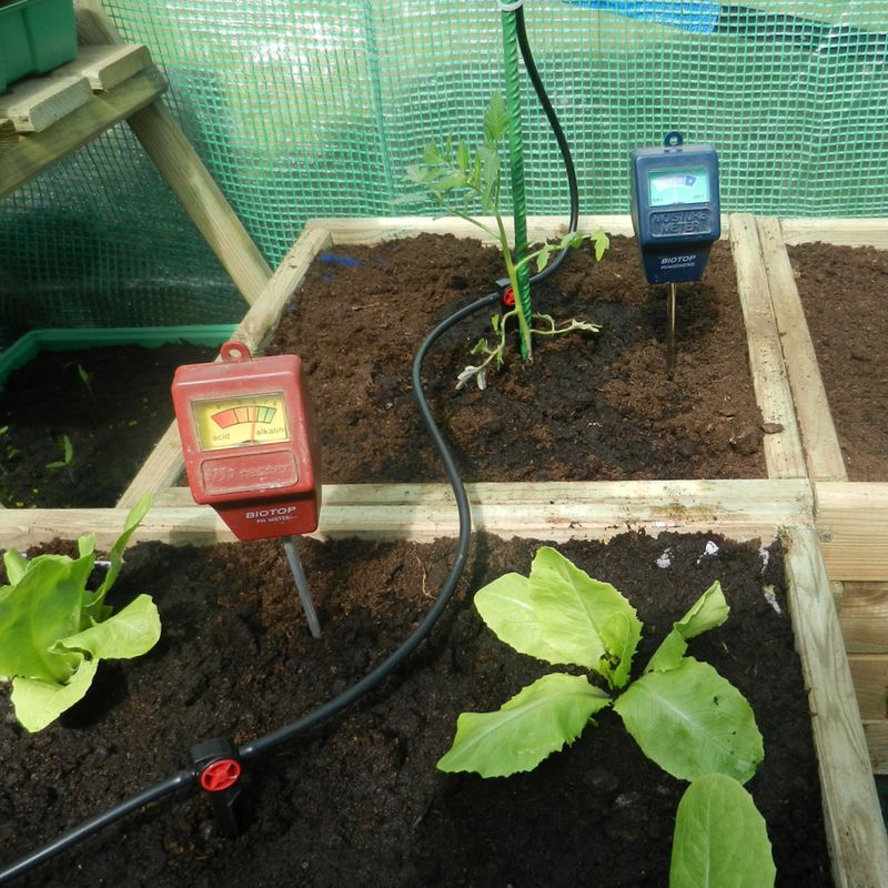 Watering Wisely: Quenching Thirst