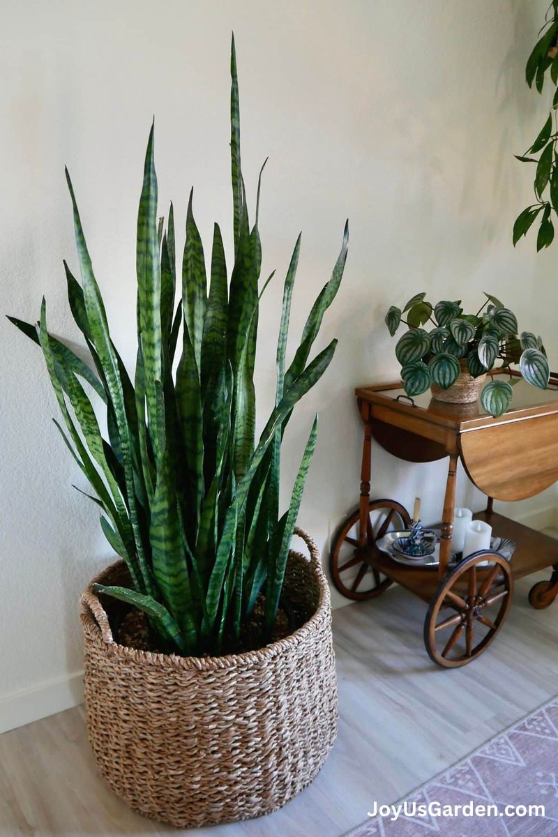 Ignoring Plant Types