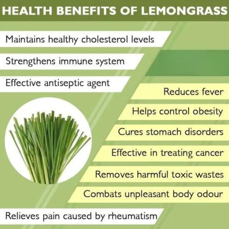 Weight Management