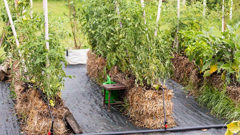 Straw Bale Bed
