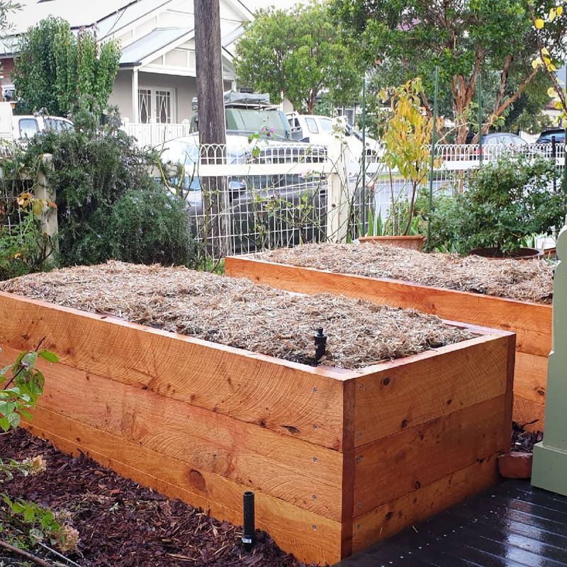 Wicking Beds