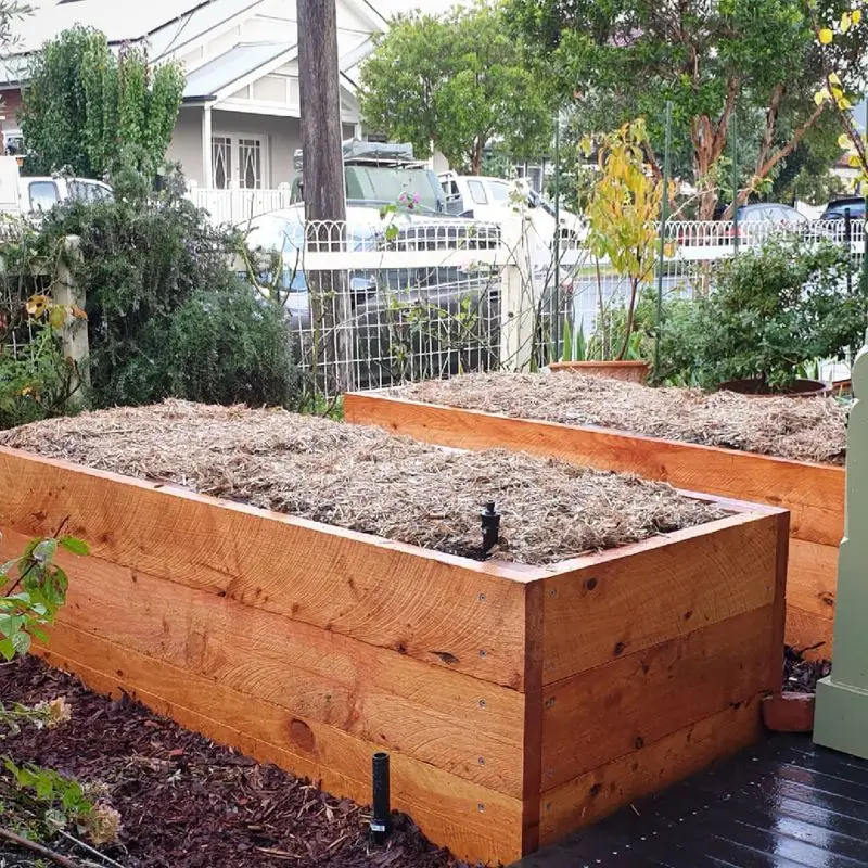 Wicking Beds