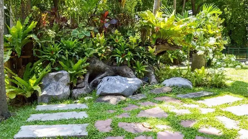 Wildlife-Friendly Gardens