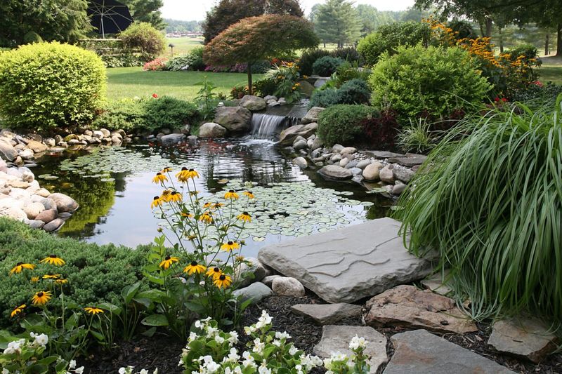 Wildlife Habitat
