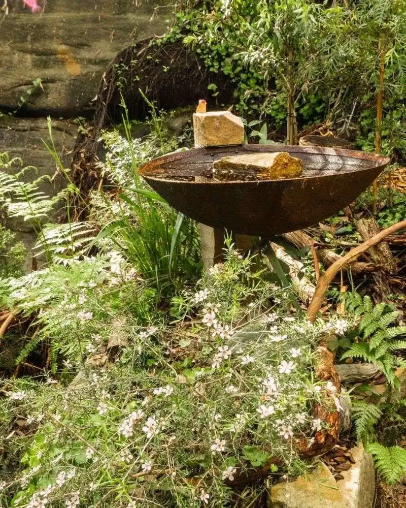 Wildlife Haven