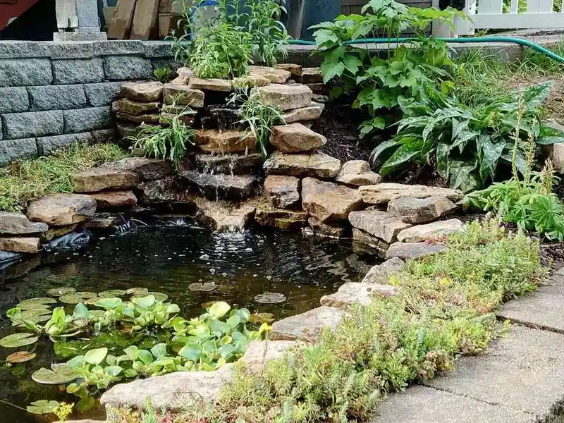 Wildlife Water Wisdom