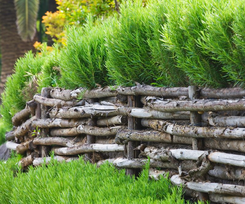 Wind Barrier Wonders