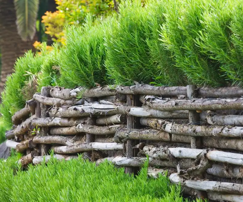 Wind Barrier Wonders
