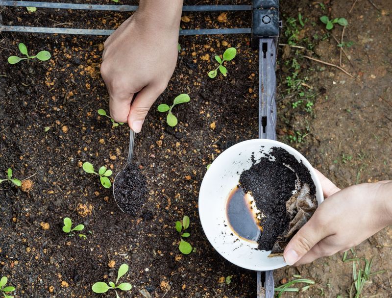 Improving Drainage with Coffee Grounds
