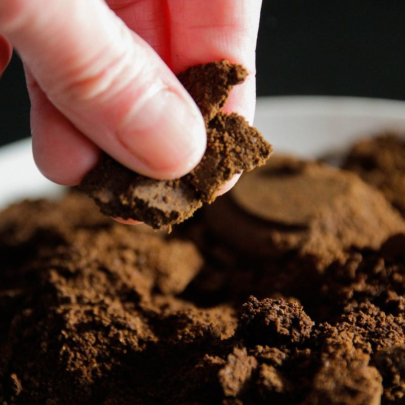 Coffee Grounds as a Slow-Release Fertilizer