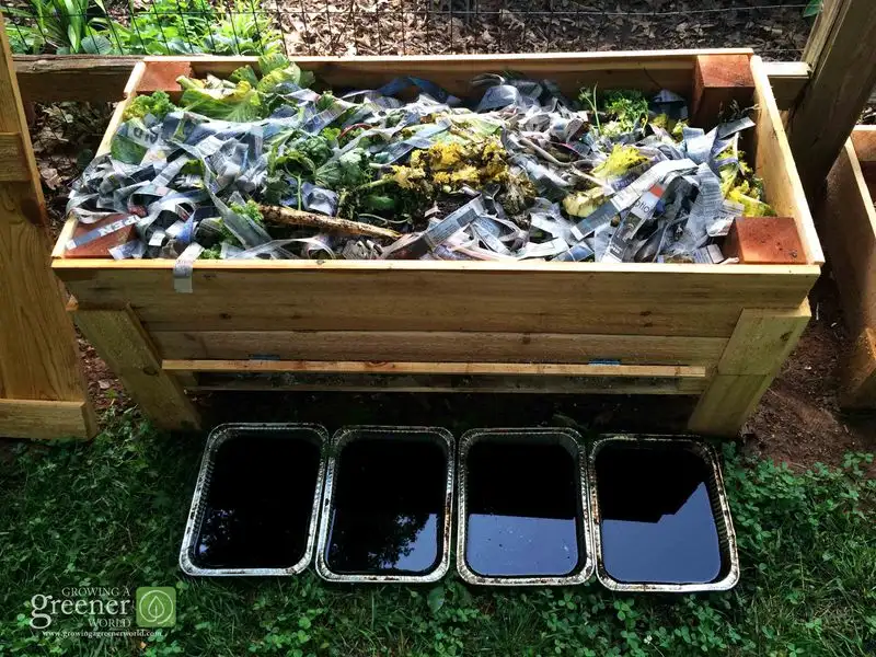 Worm Bin Treat