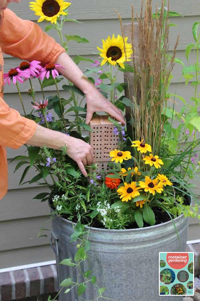 Ignoring Pollination Needs