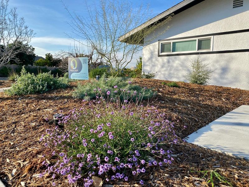 High-Maintenance Flower Beds
