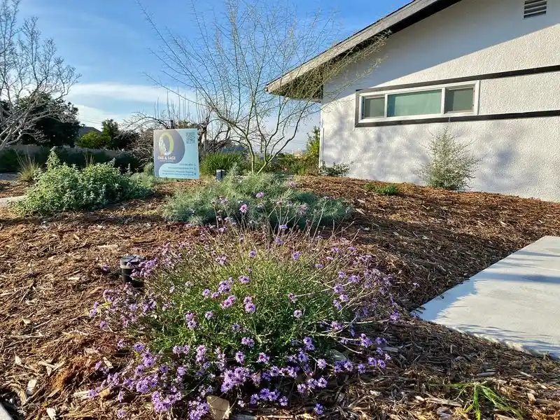 High-Maintenance Flower Beds