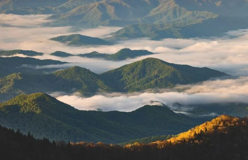 Great Smoky Mountains