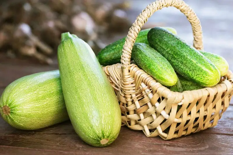 Zucchini
