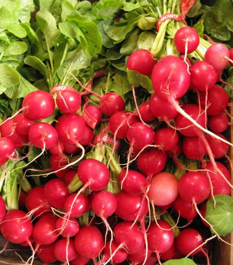 Radishes