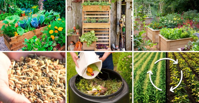 Amish Secret To Growing 1 Year Of Food In A Tiny Space
