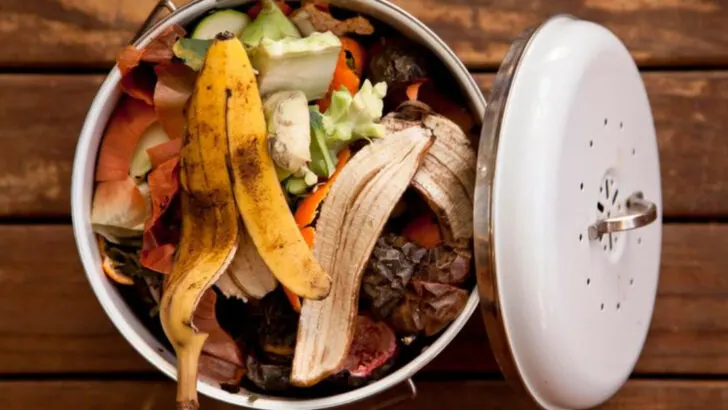Compost Smells? These 11 Fixes Actually Work (Without Chemicals)