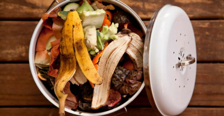 Compost Smells? These 11 Fixes Actually Work (Without Chemicals)