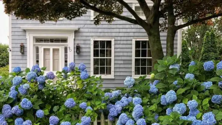 Don’t Deadhead These 12 Flowers—You’ll Miss Their Best Trick