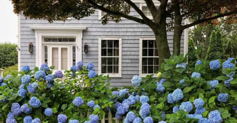 Don’t Deadhead These 12 Flowers—You’ll Miss Their Best Trick