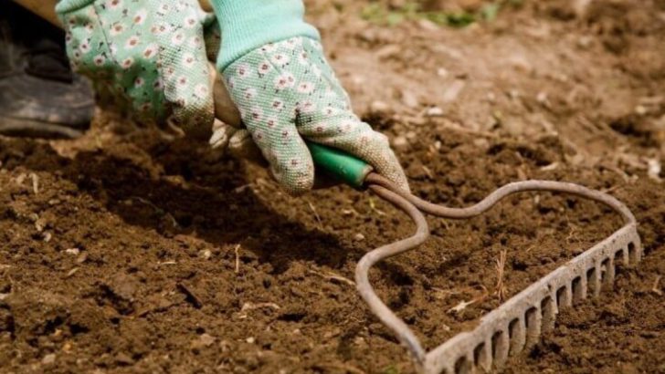 Fired Your Landscaper? Here Are 16 Ways to Get Better Results Yourself