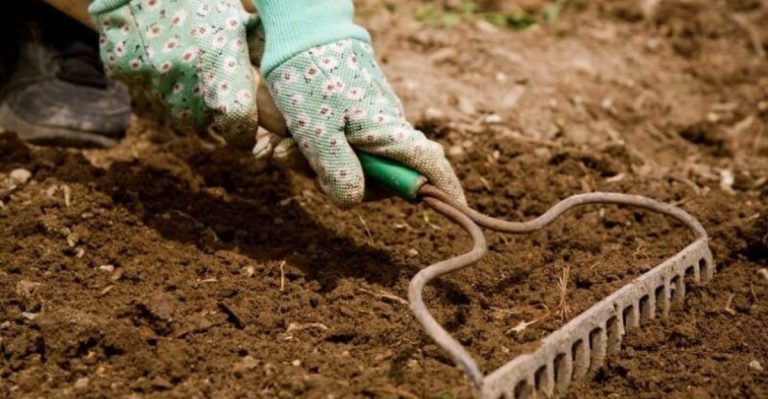 Fired Your Landscaper? Here Are 16 Ways to Get Better Results Yourself