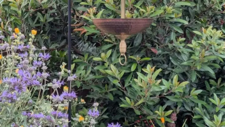 Garden Soundscapes: Using Natural Noise to Boost Plant Growth and Pollinator Visits