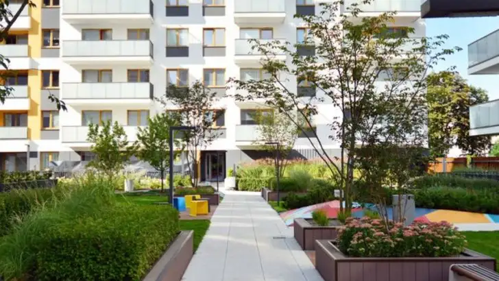 How I Built a Microclimate Using Only Three Rocks and a Tree