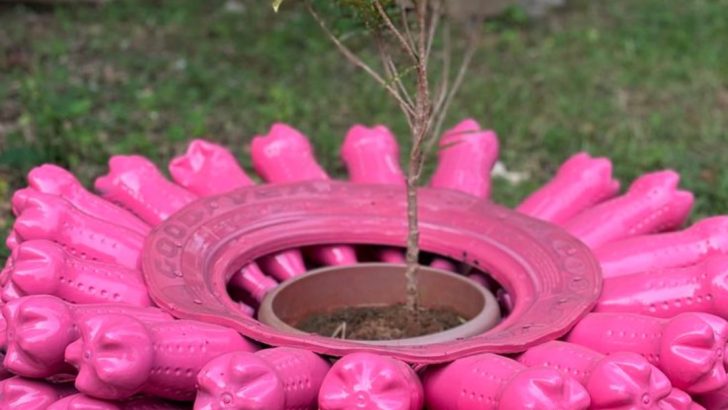 How I Designed a Zero-Waste Garden Using Only What I Had (No Buying Allowed)