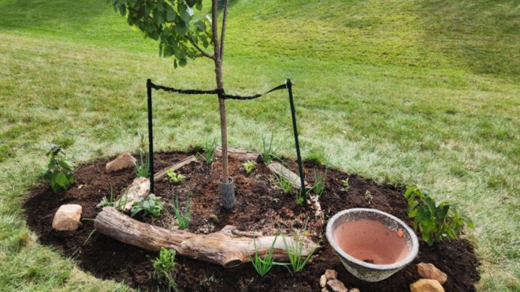 How I Use Plant “Guilds” to Replace Entire Raised Beds With Natural Systems