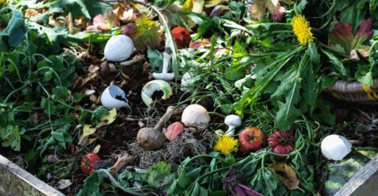 If Your Compost Stinks, It’s Probably Missing This One Ingredient