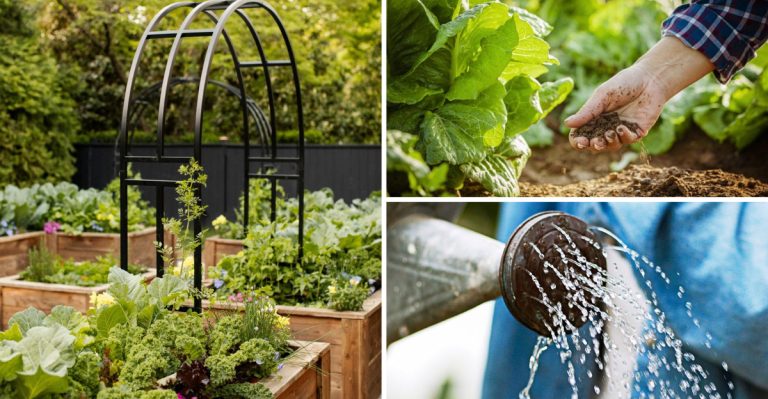 June Harvest Secrets That Double Your Summer Vegetable Yield