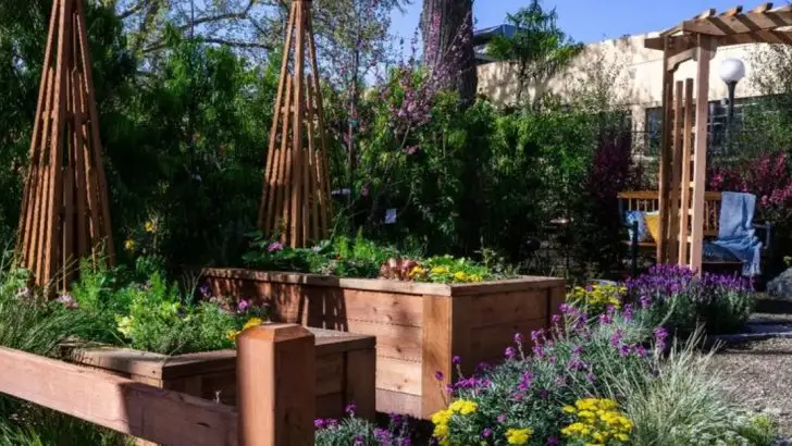 My Garden Stops Me From Overthinking—Here’s How I Built That System