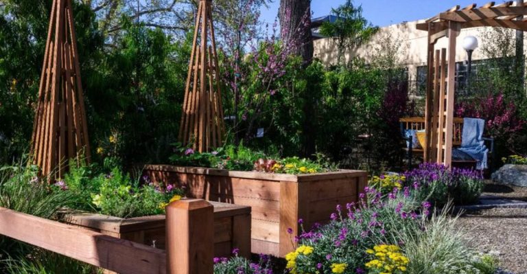 My Garden Stops Me From Overthinking—Here’s How I Built That System