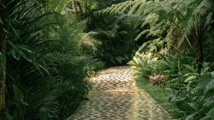 Sound-Trap Gardening: How I Designed for Echo, Not Just Wind