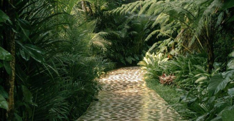 Sound-Trap Gardening: How I Designed for Echo, Not Just Wind