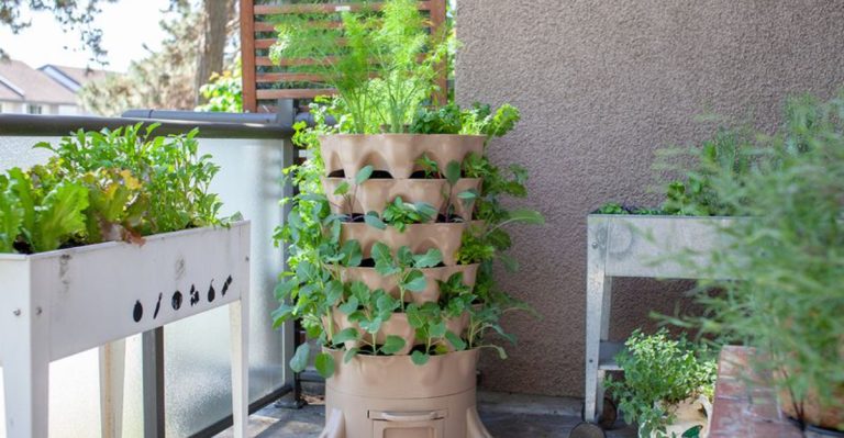 Space-Saving Tower Gardens for Fresh Herbs and Fertile Compost