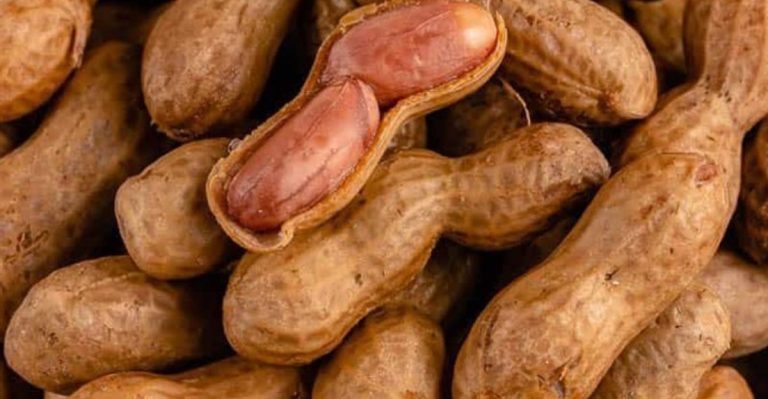 Stop Feeding Birds These 15 ‘Healthy’ Foods (Use These 8 Instead)