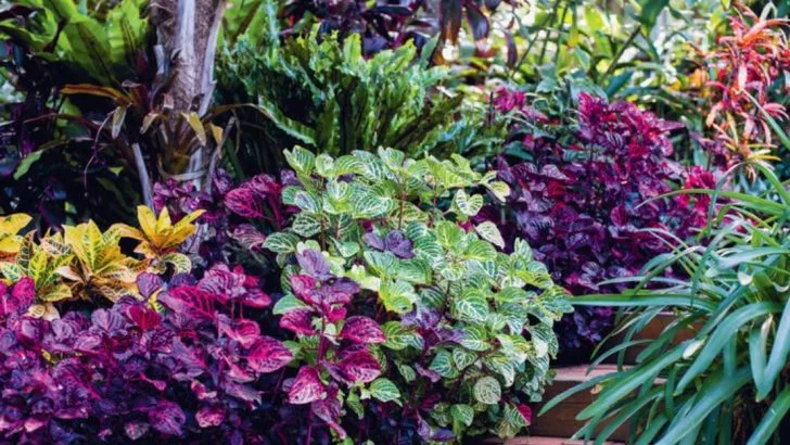 Stop Guessing When to Plant (17 Climate-Proof Timing Strategies)