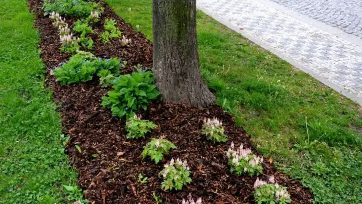 Stop Mulching Like That—It’s Suffocating Your Garden