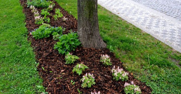 Stop Mulching Like That—It’s Suffocating Your Garden