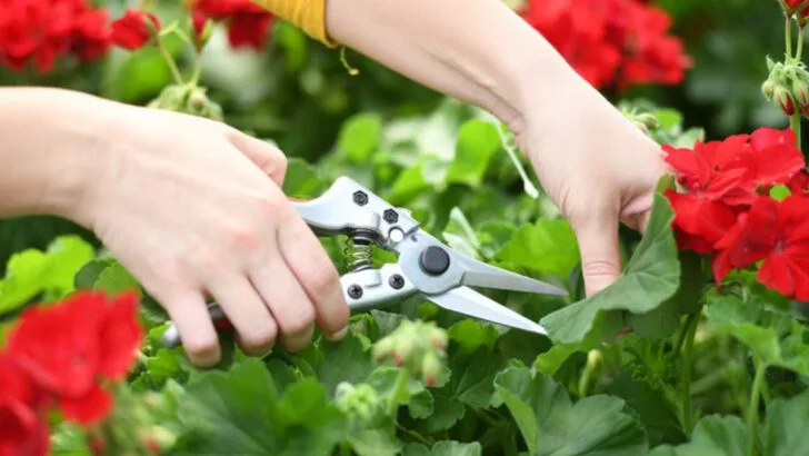 Stop Using These 7 Gardening Tools—There’s a Better Way Now