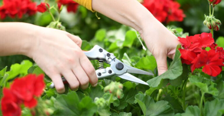 Stop Using These 7 Gardening Tools—There’s a Better Way Now